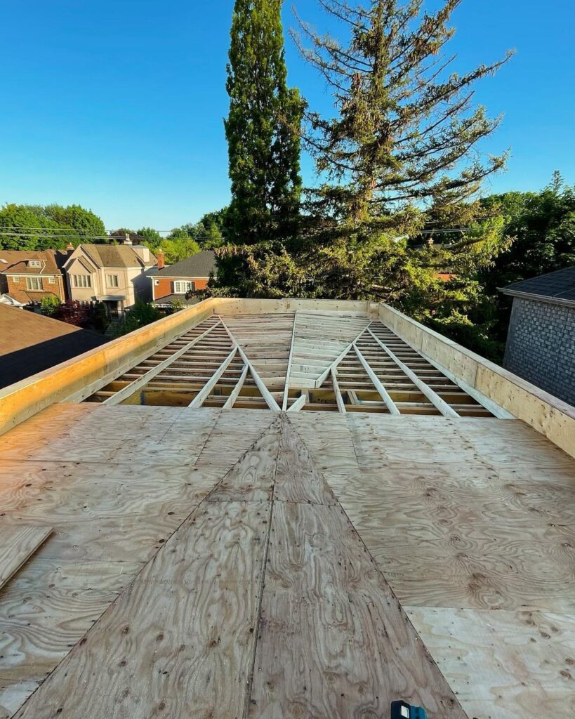 whatsapp image 2025 12 04 at 23.48.26 (1)